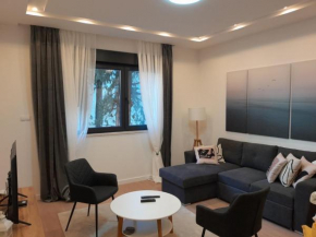 Olive center apartment